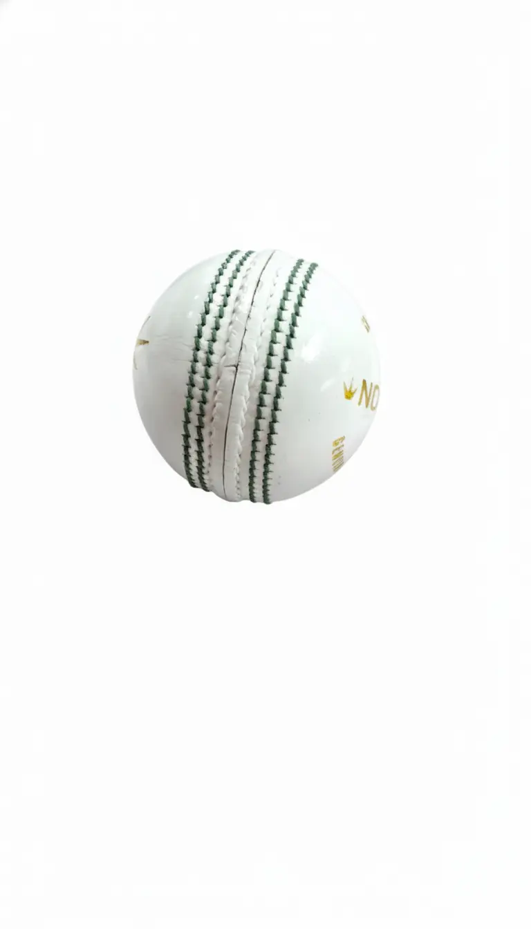 Gemini_Generated_Image_pgn6nupgn6nupgn6.webp
