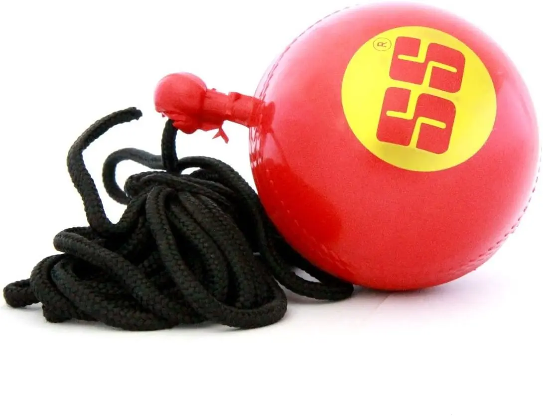 SS Hanging Ball